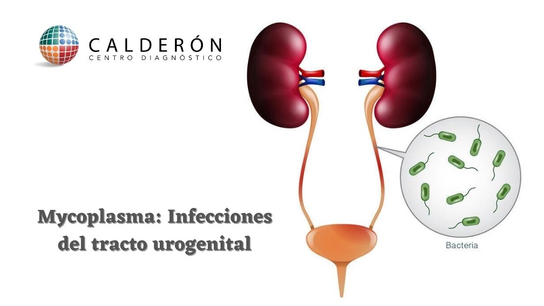 Mycoplasma és uraplasm prosztatitis, A betegség okai