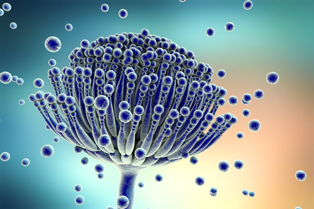 ¿Qué nos dice la orina? Metabolitos orgánicos y micotoxinas como indicadores clave de nuestra salud intestinal y tóxica